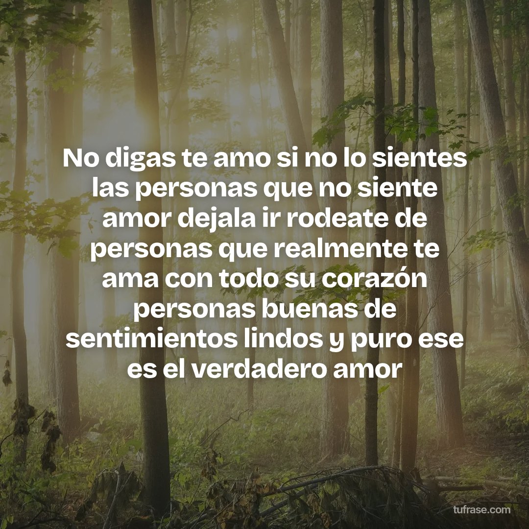 No digas te amo si no lo sientes las personas que no siente amor dejala ir rodeate de personas que realmente te ama con todo su corazón personas buenas de sentimientos lindos y puro ese es el verdadero amor