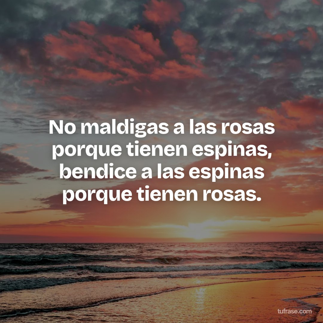 No maldigas a las rosas porque tienen espinas, bendice a las espinas porque tienen rosas.