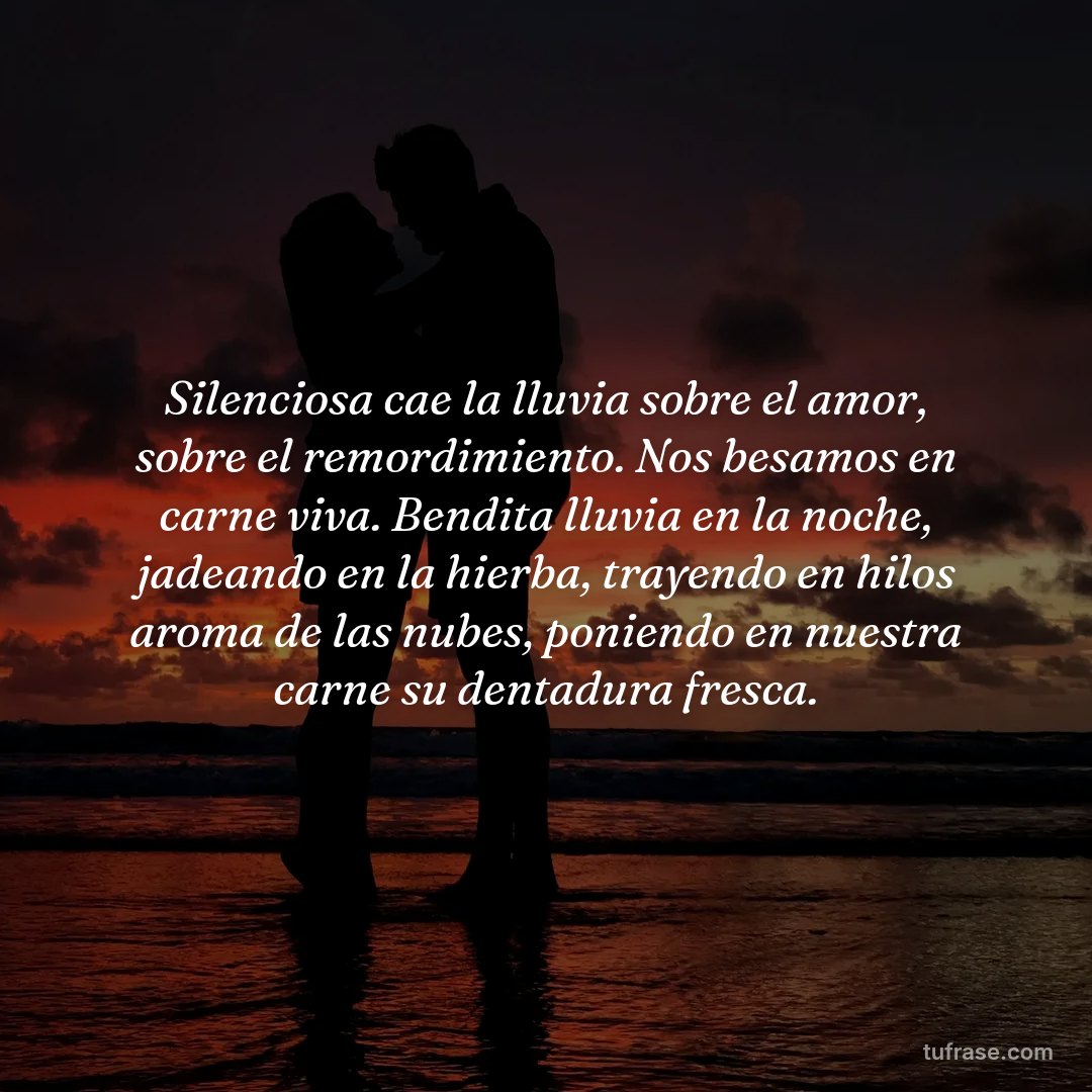 Silenciosa cae la lluvia sobre el amor, sobre el remordimiento. Nos besamos en carne viva. Bendita lluvia en la noche, jadeando en la hierba, trayendo en hilos aroma de las nubes, poniendo en nuestra carne su dentadura fresca.