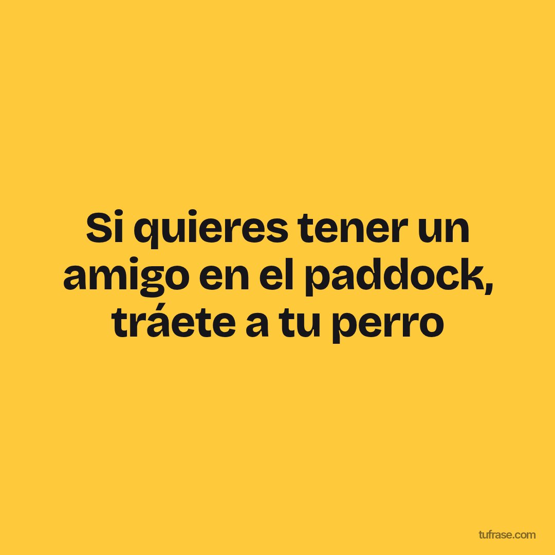 Si quieres tener un amigo en el paddock, tráete a tu perro
