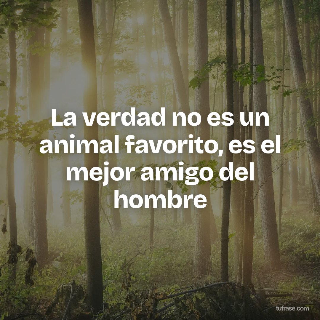 La verdad no es un animal favorito, es el mejor amigo del hombre