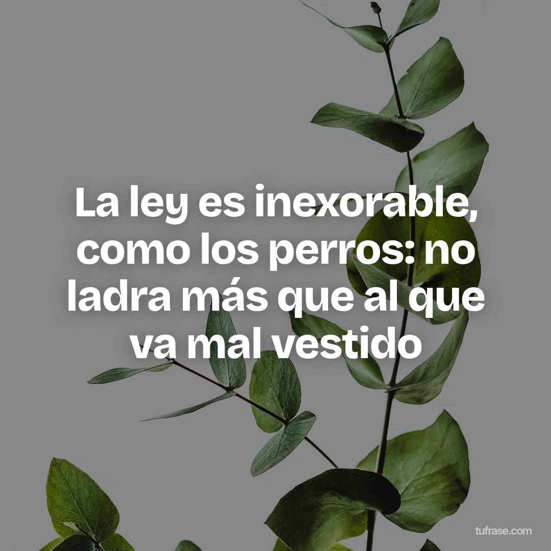 La ley es inexorable, como los perros: no ladra más que al que va mal vestido
