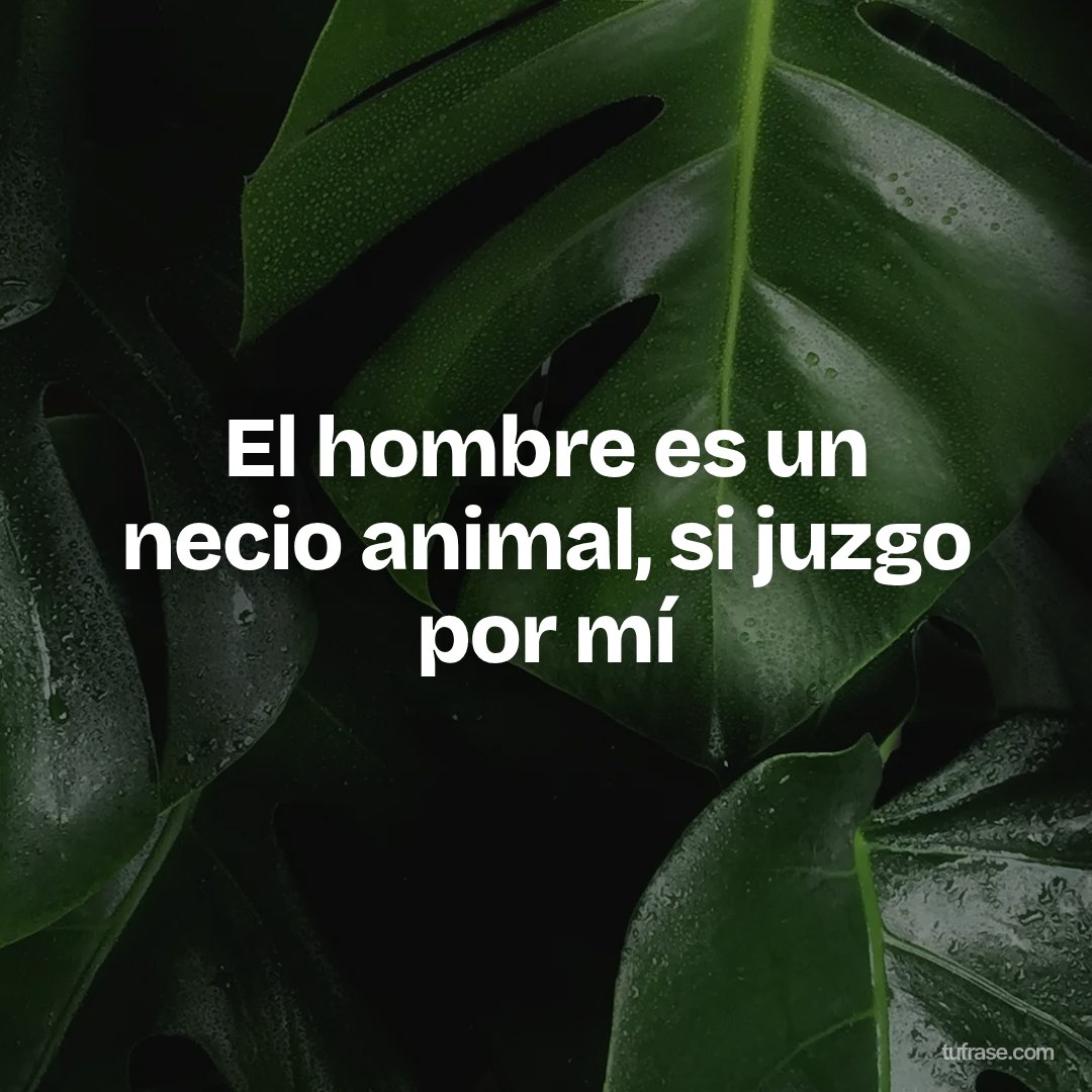 El hombre es un necio animal, si juzgo por mí