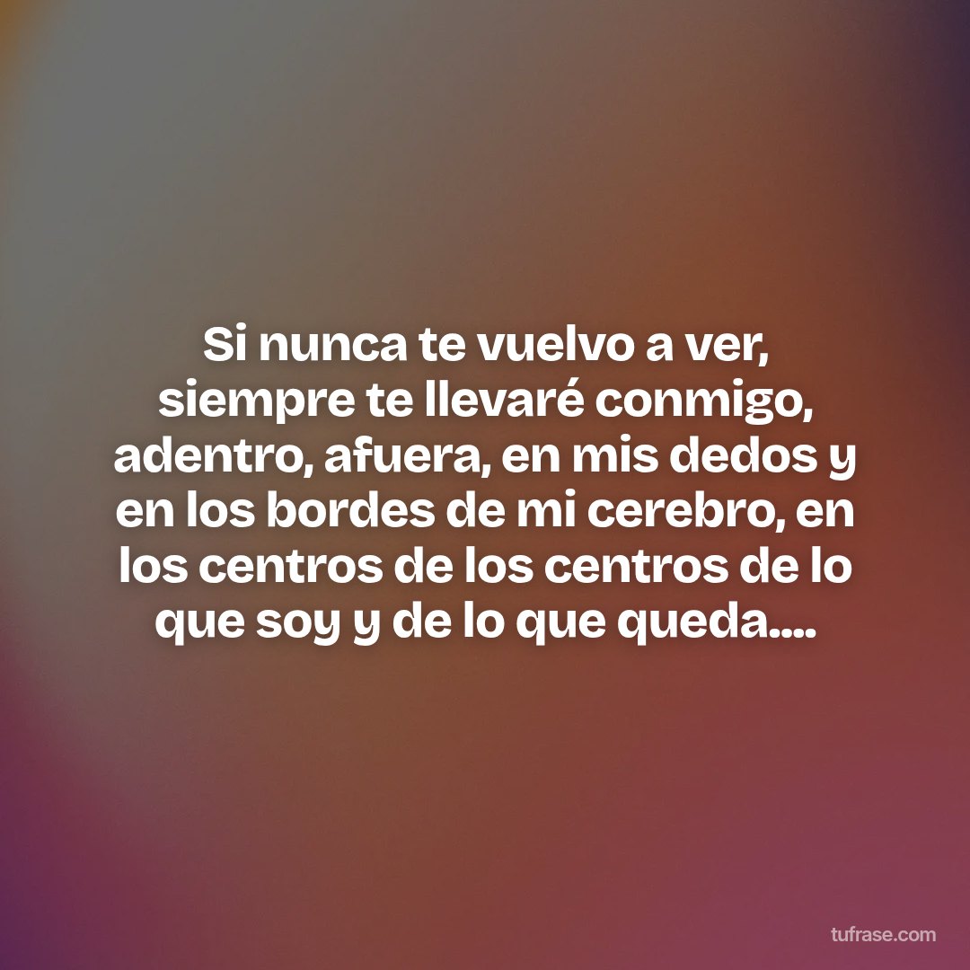 Si nunca te vuelvo a ver, siempre te llevaré conmigo, adentro, afuera, en mis dedos y en los bordes de mi cerebro, en los centros de los centros de lo que soy y de lo que queda....