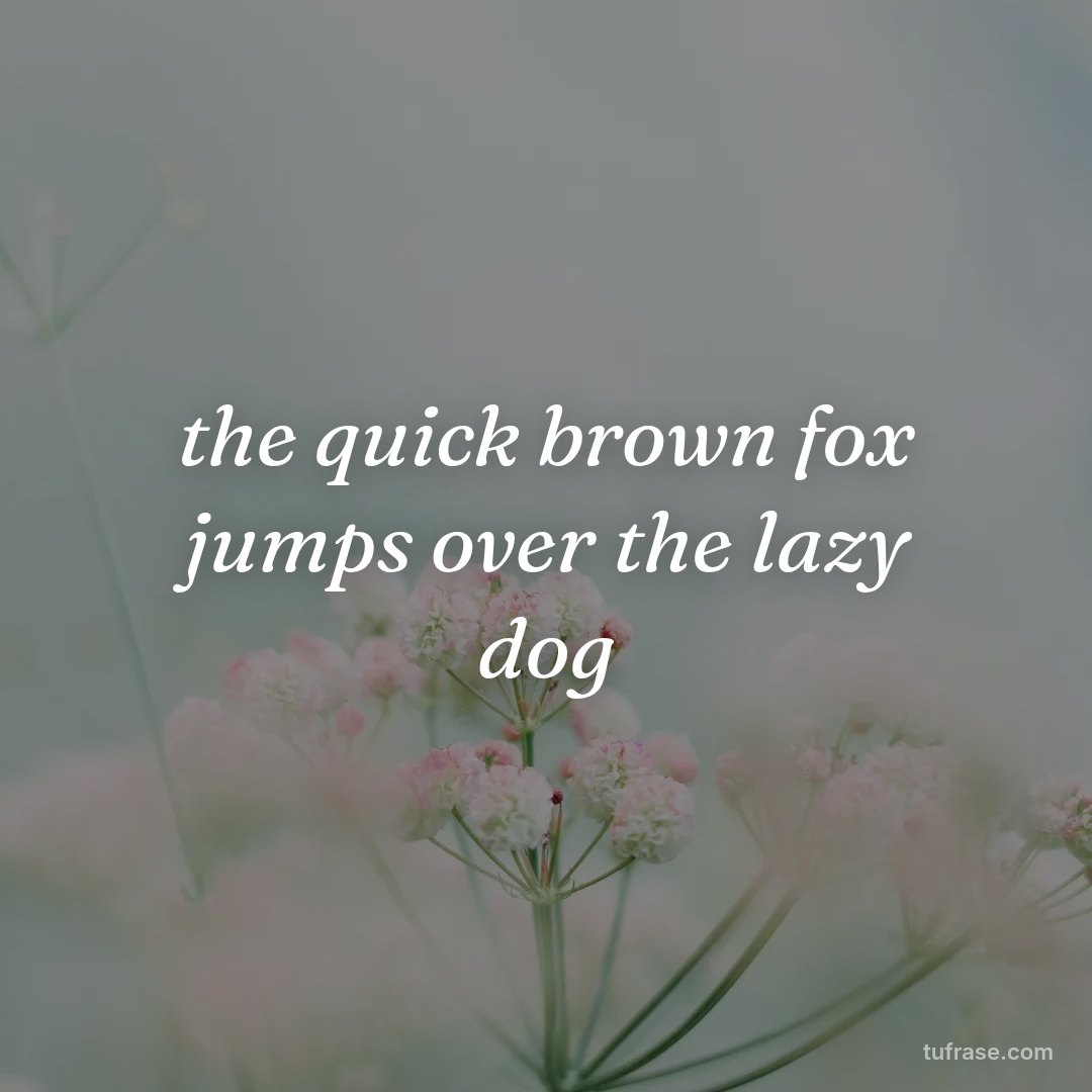 the quick brown fox jumps over the lazy dog