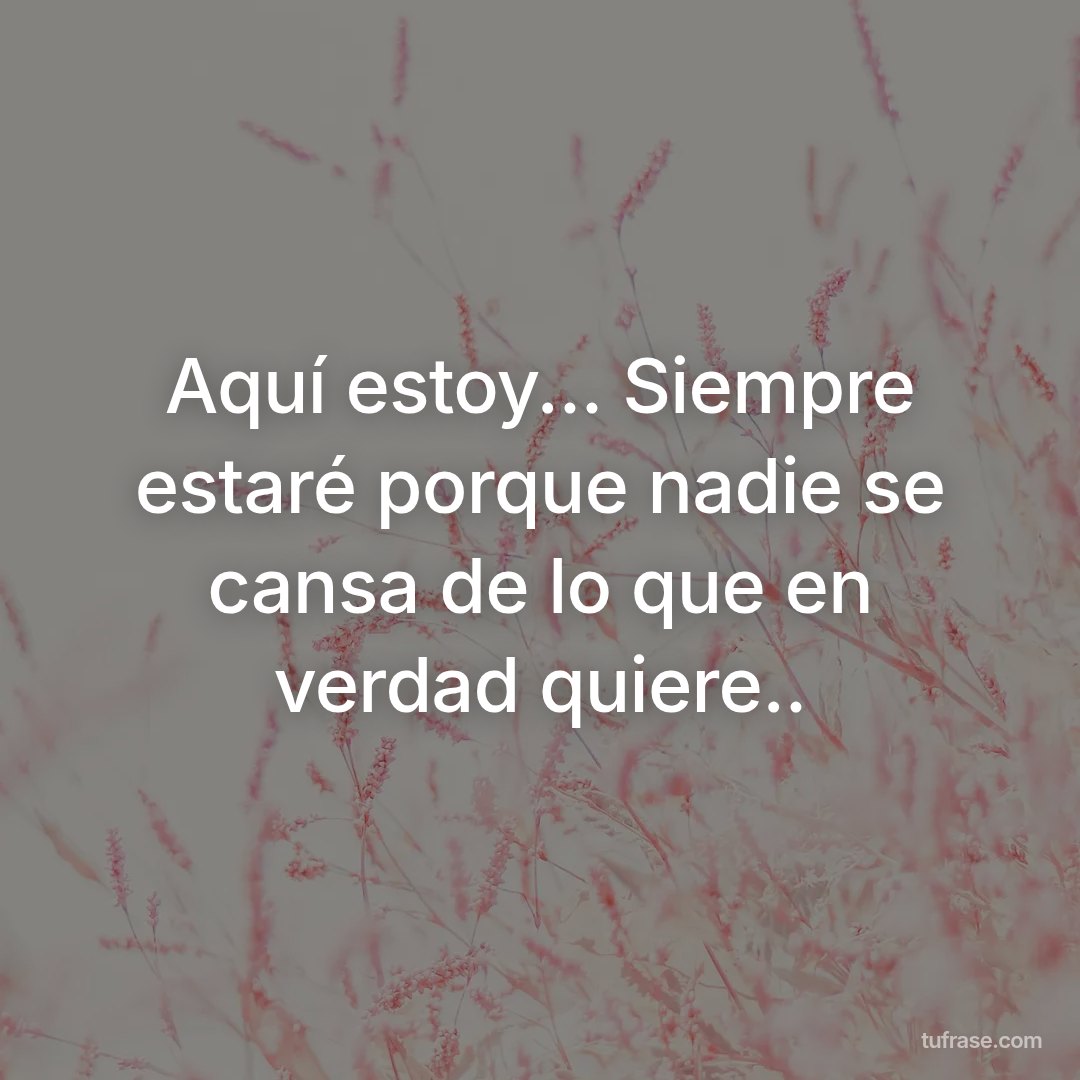 Aquí estoy... Siempre estaré porque nadie se cansa de lo que en verdad quiere..