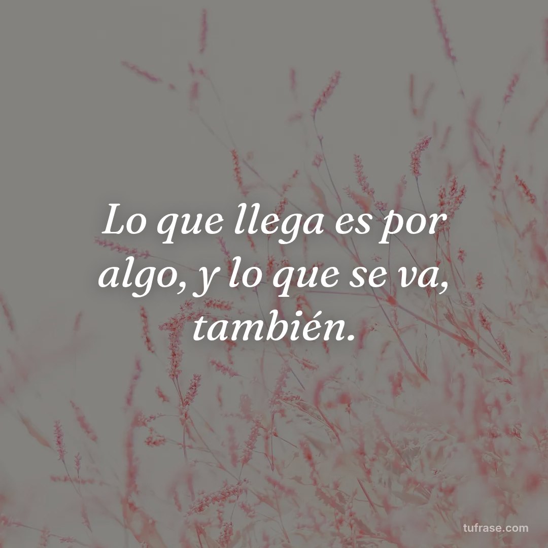 Lo que llega es por algo, y lo que se va, también.
