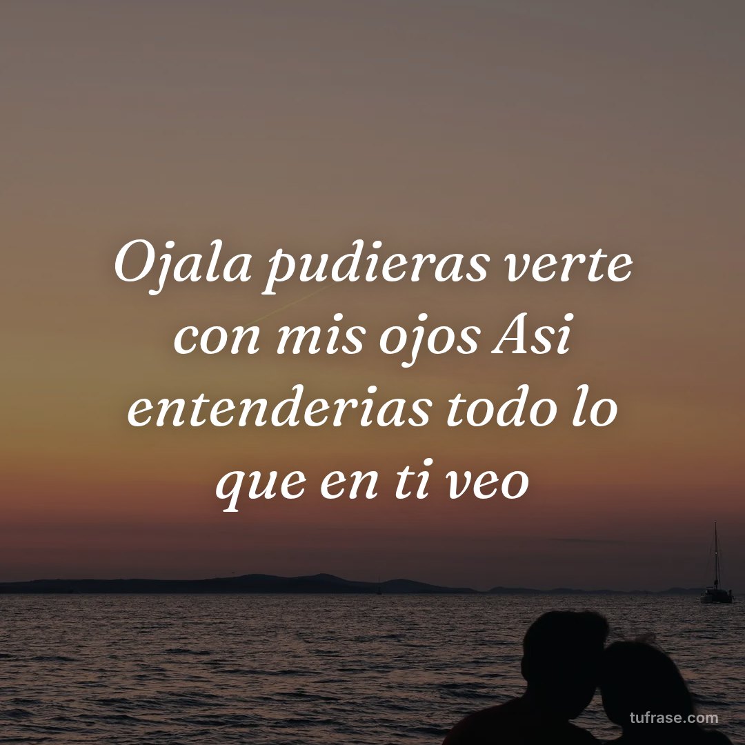 Ojala pudieras verte con mis ojos Asi entenderias todo lo que en ti veo