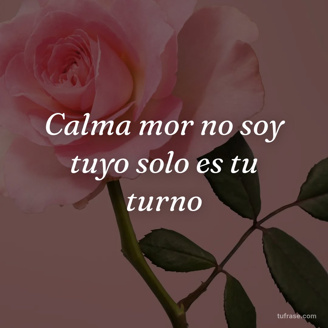 Calma mor no soy tuyo solo es tu turno