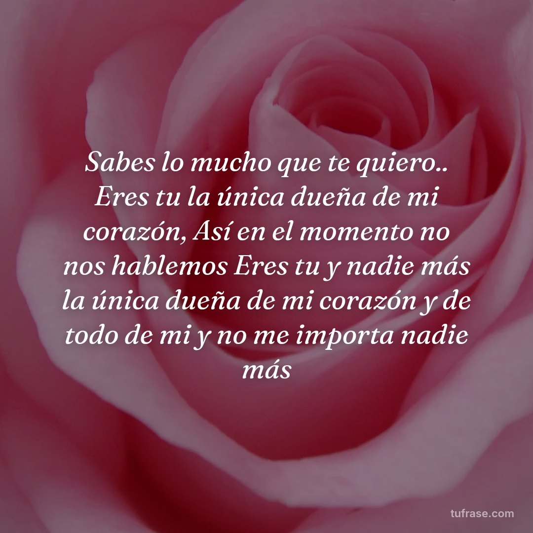 Sabes lo mucho que te quiero.. Eres tu la única dueña de mi corazón, Así en el momento no nos hablemos Eres tu y nadie más la única dueña de mi corazón y de todo de mi y no me importa nadie más