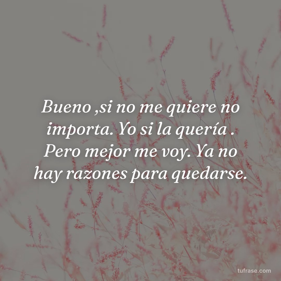 Bueno ,si no me quiere no importa. Yo si la quería . Pero mejor me voy. Ya no hay razones para quedarse.