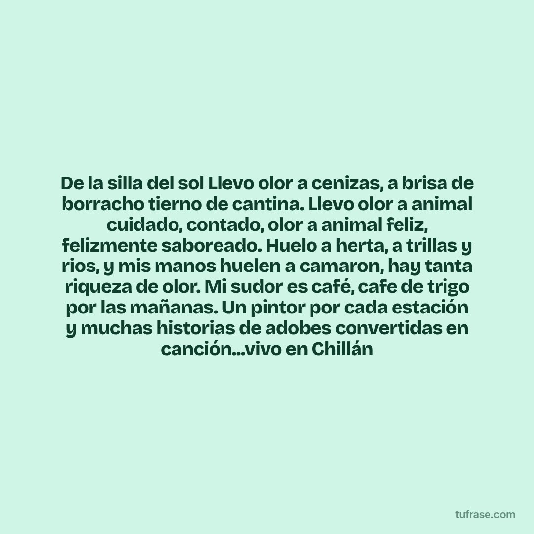 De la silla del sol Llevo olor a cenizas, a brisa de borracho tierno de cantina. Llevo olor a animal cuidado, contado, olor a animal feliz, felizmente saboreado. Huelo a herta, a trillas y rios, y mis manos huelen a camaron, hay tanta riqueza de olor. Mi sudor es café, cafe de trigo por las mañanas. Un pintor por cada estación y muchas historias de adobes convertidas en canción...vivo en Chillán