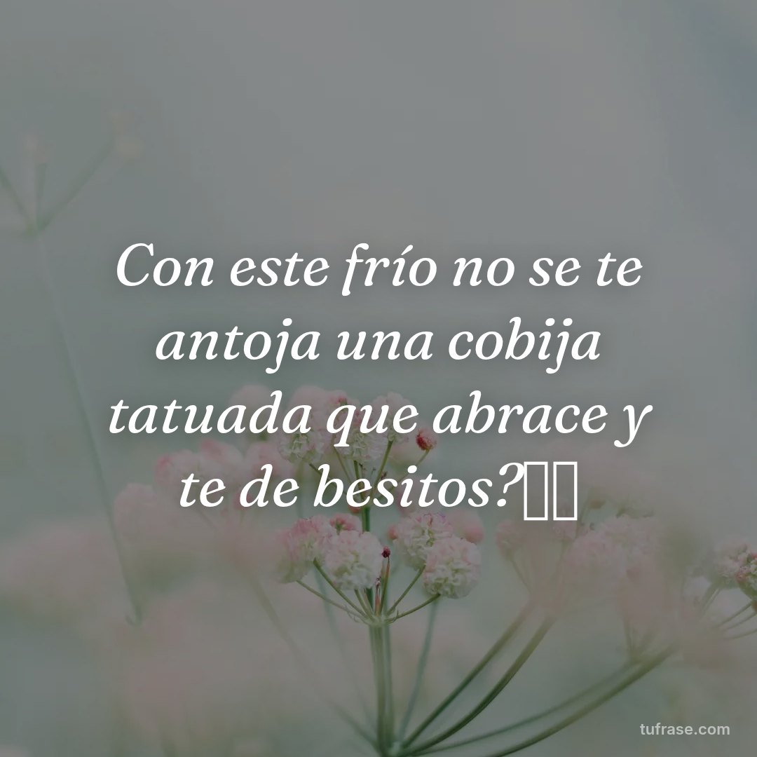 Con este frío no se te antoja una cobija tatuada que abrace y te de besitos?🥰🤭