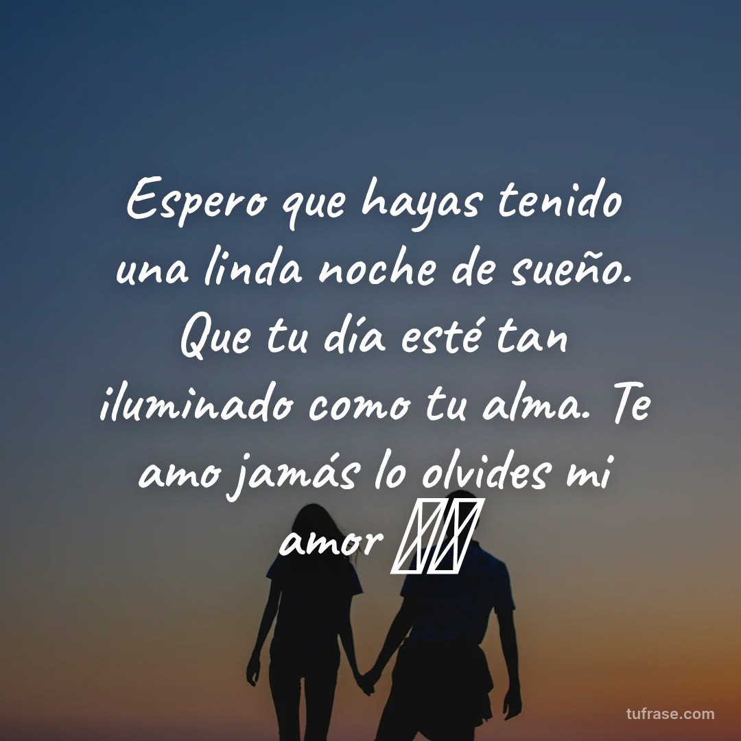 Espero que hayas tenido una linda noche de sueño. Que tu día esté tan iluminado como tu alma. Te amo jamás lo olvides mi amor 💞✨️