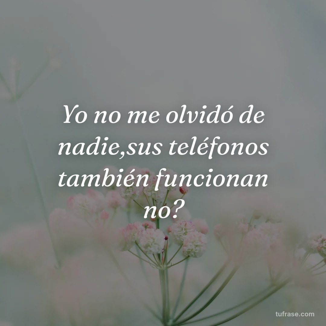 Yo no me olvidó de nadie,sus teléfonos también funcionan no?