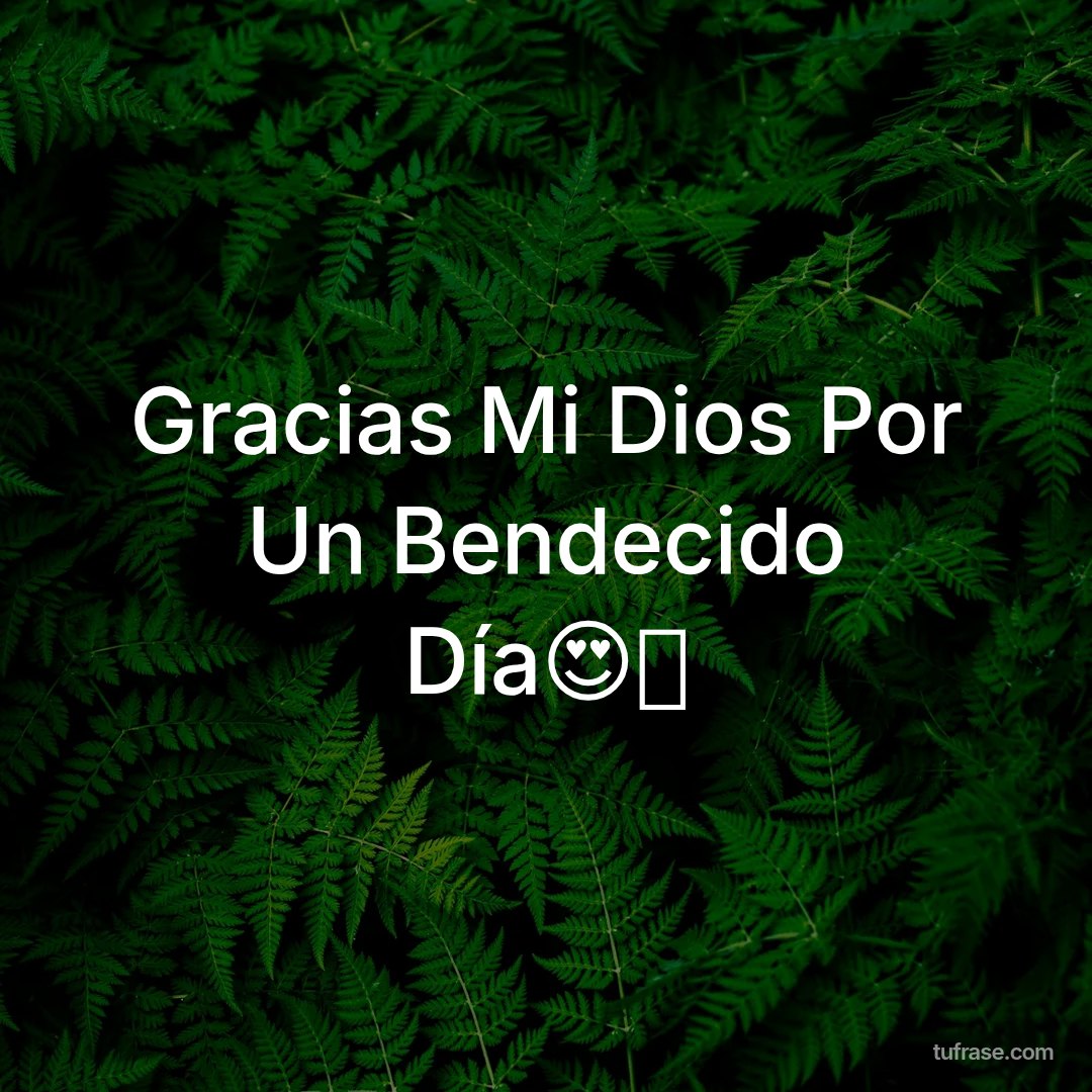 Gracias Mi Dios Por Un Bendecido Día😍🥺