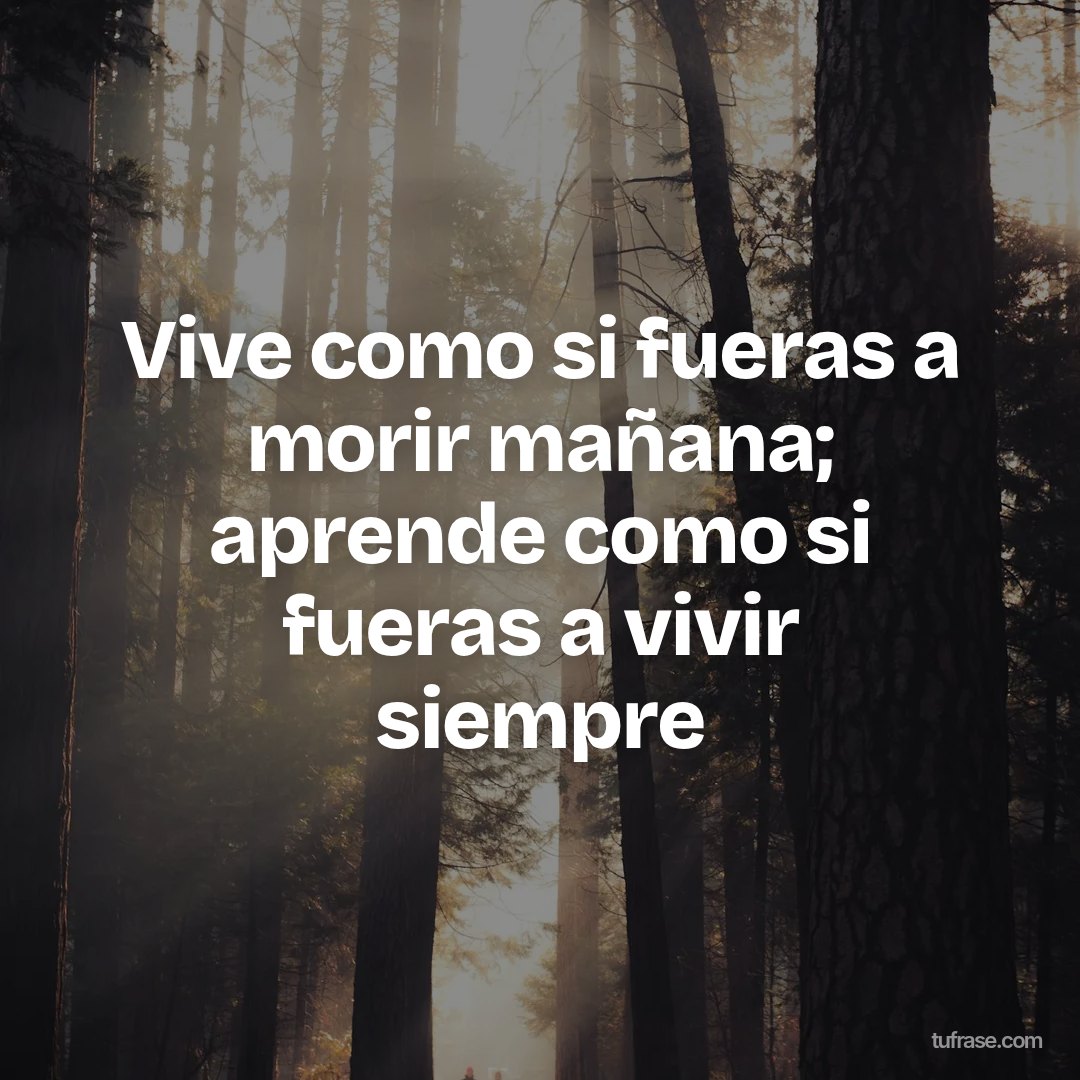 Vive como si fueras a morir mañana; aprende como si fueras a vivir siempre