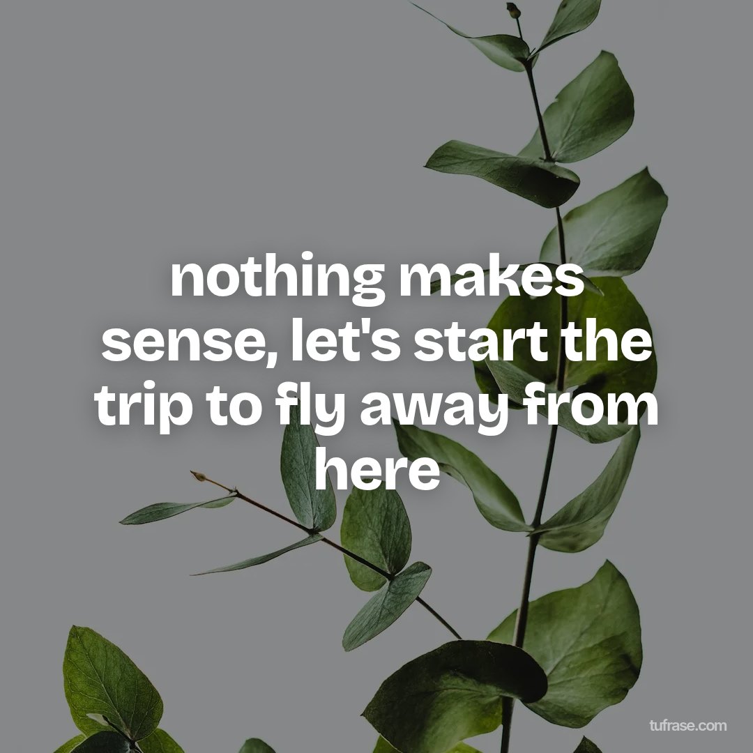 nothing makes sense, let's start the trip to fly away from here