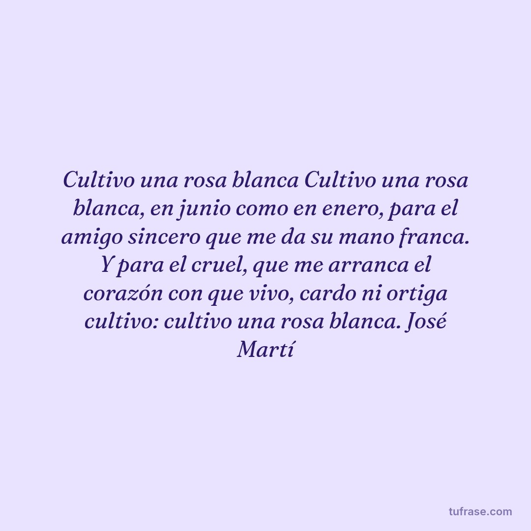 Cultivo una rosa blanca Cultivo una rosa blanca, en junio como en enero, para el amigo sincero que me da su mano franca. Y para el cruel, que me arranca el corazón con que vivo, cardo ni ortiga cultivo: cultivo una rosa blanca. José Martí