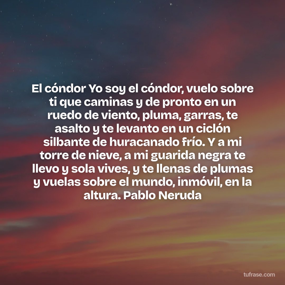 El cóndor Yo soy el cóndor, vuelo sobre ti que caminas y de pronto en un ruedo de viento, pluma, garras, te asalto y te levanto en un ciclón silbante de huracanado frío. Y a mi torre de nieve, a mi guarida negra te llevo y sola vives, y te llenas de plumas y vuelas sobre el mundo, inmóvil, en la altura. Pablo Neruda