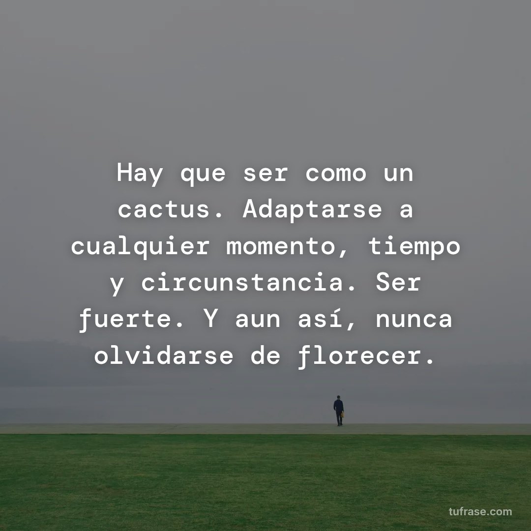 Hay que ser como un cactus. Adaptarse a cualquier momento, tiempo y circunstancia. Ser fuerte. Y aun así, nunca olvidarse de florecer.