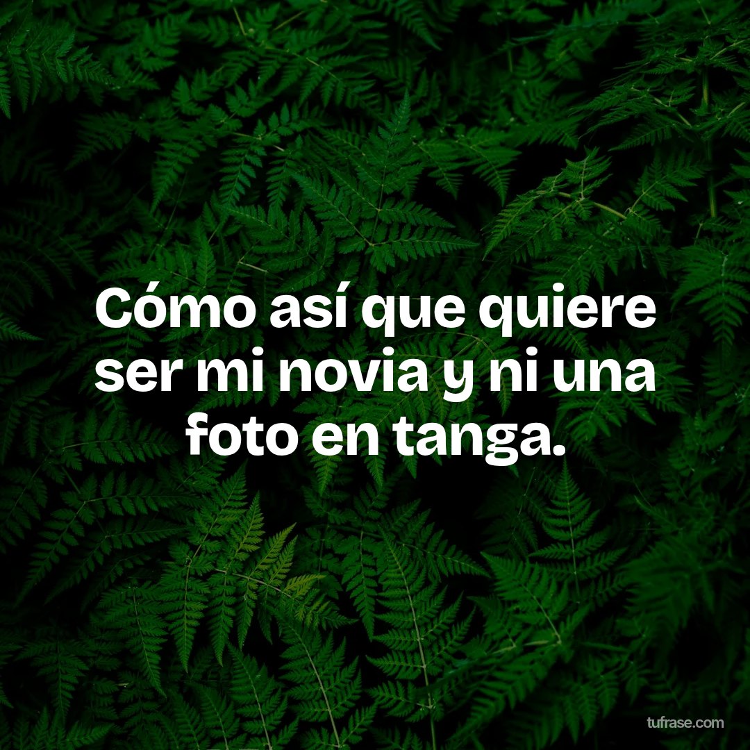 Cómo así que quiere ser mi novia y ni una foto en tanga.