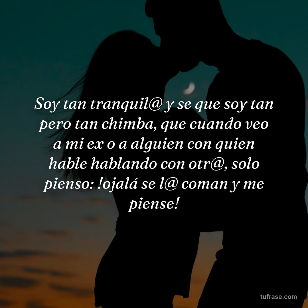 Soy tan tranquil@ y se que soy tan pero tan chimba, que cuando veo a mi ex o a alguien con quien hable hablando con otr@, solo pienso: !ojalá se l@ coman y me piense!
