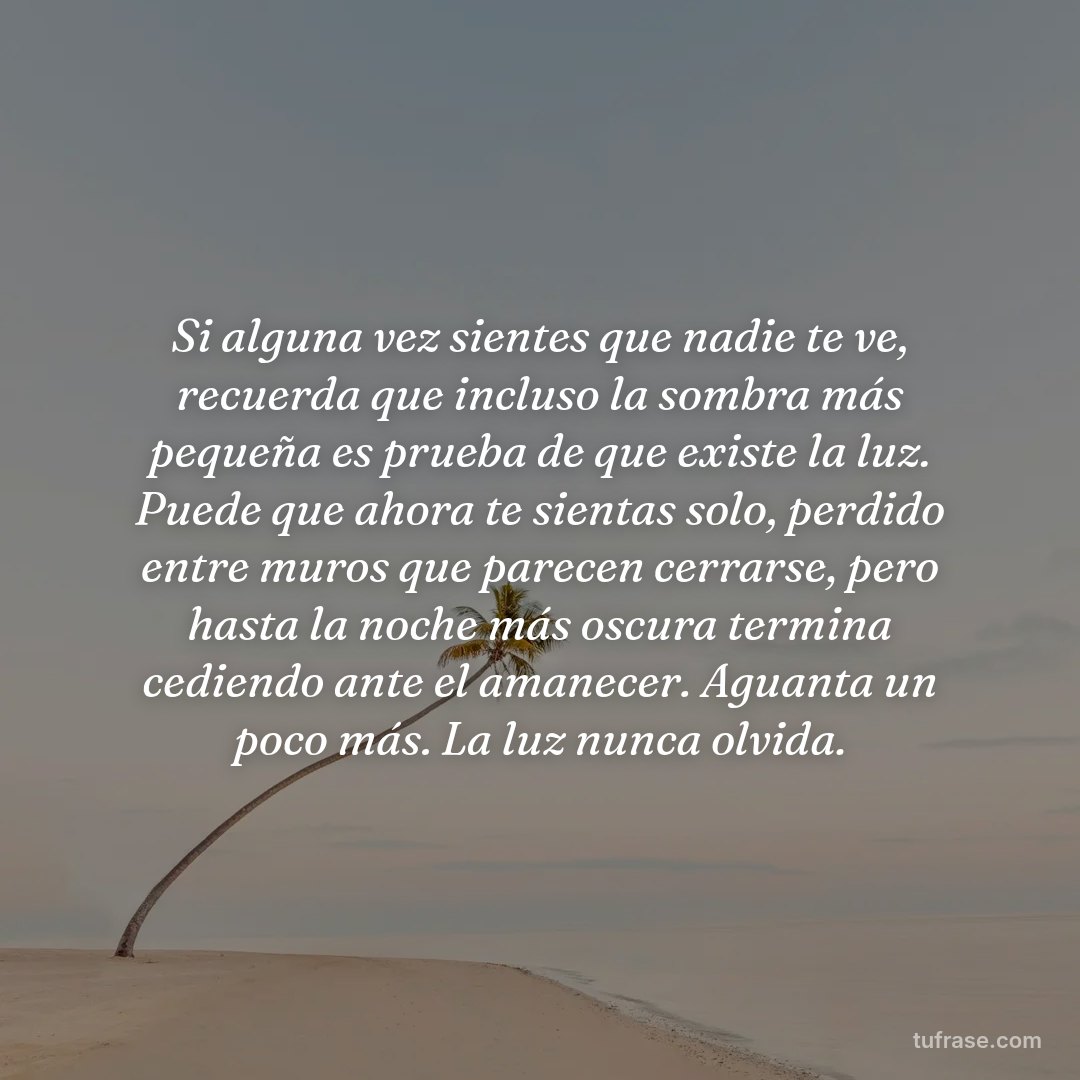 Si alguna vez sientes que nadie te ve, recuerda que incluso la sombra más pequeña es prueba de que existe la luz. Puede que ahora te sientas solo, perdido entre muros que parecen cerrarse, pero hasta la noche más oscura termina cediendo ante el amanecer. Aguanta un poco más. La luz nunca olvida.