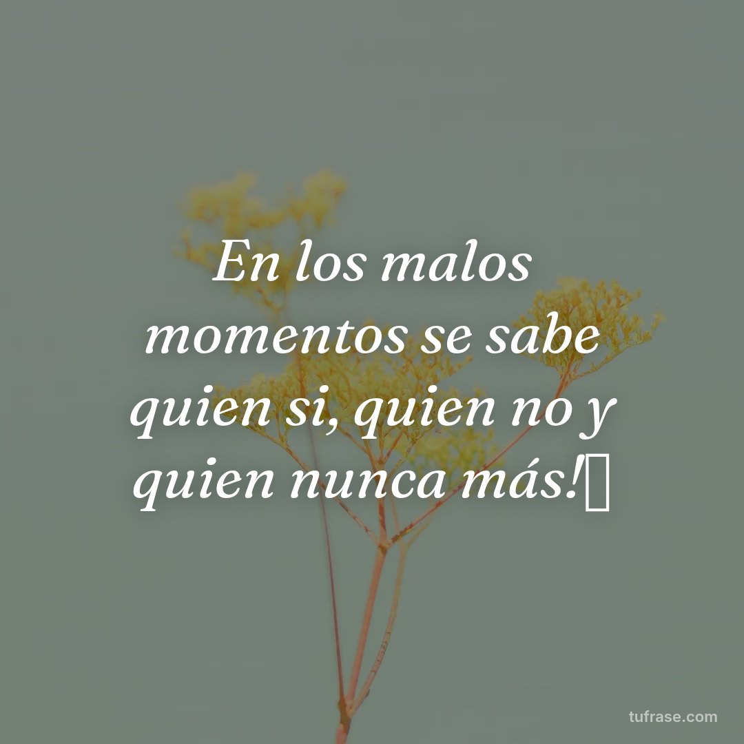En los malos momentos se sabe quien si, quien no y quien nunca más!🫡