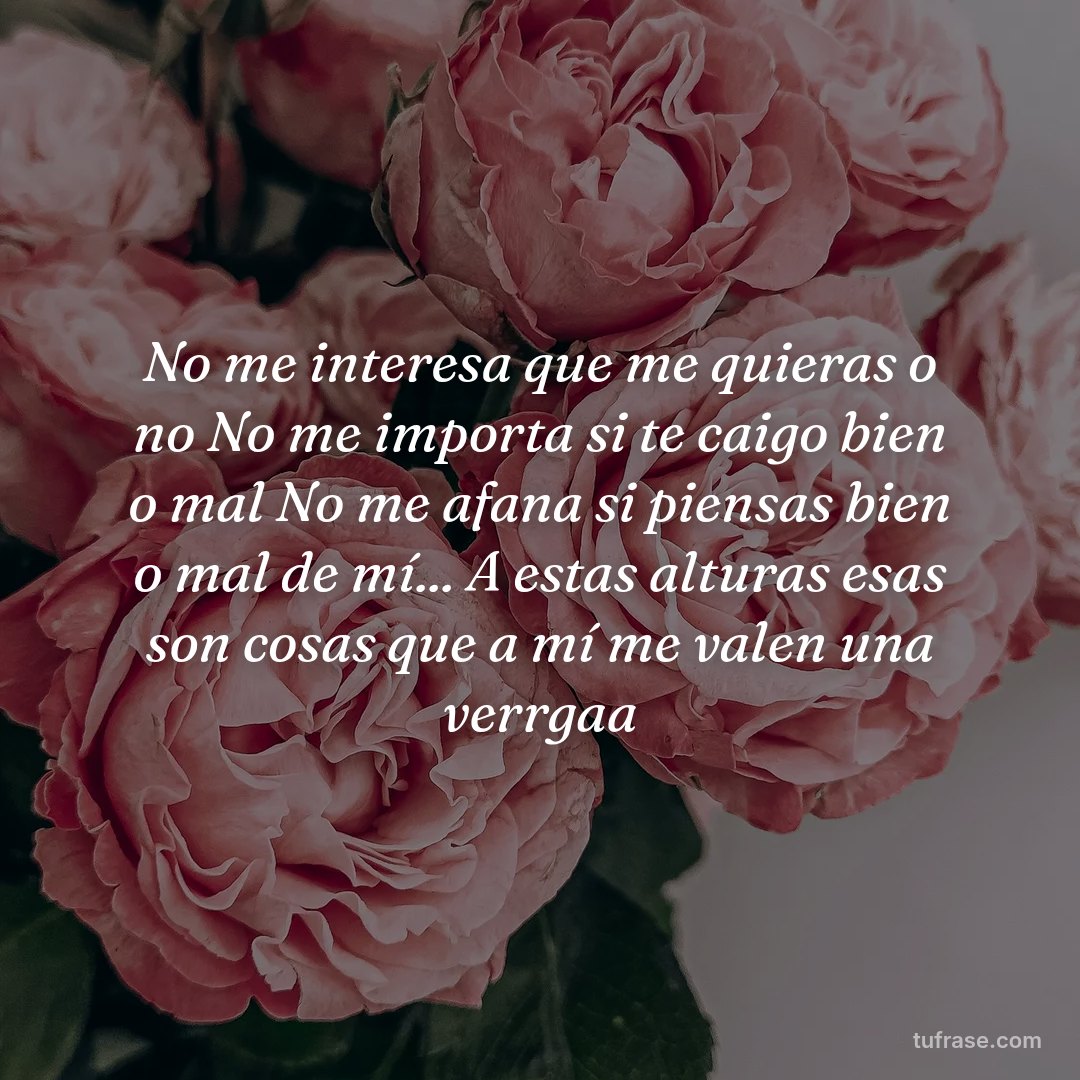 No me interesa que me quieras o no No me importa si te caigo bien o mal No me afana si piensas bien o mal de mí... A estas alturas esas son cosas que a mí me valen una verrgaa