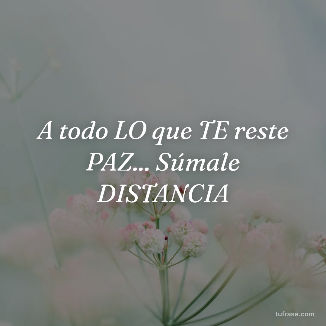 A todo LO que TE reste PAZ... Súmale DISTANCIA