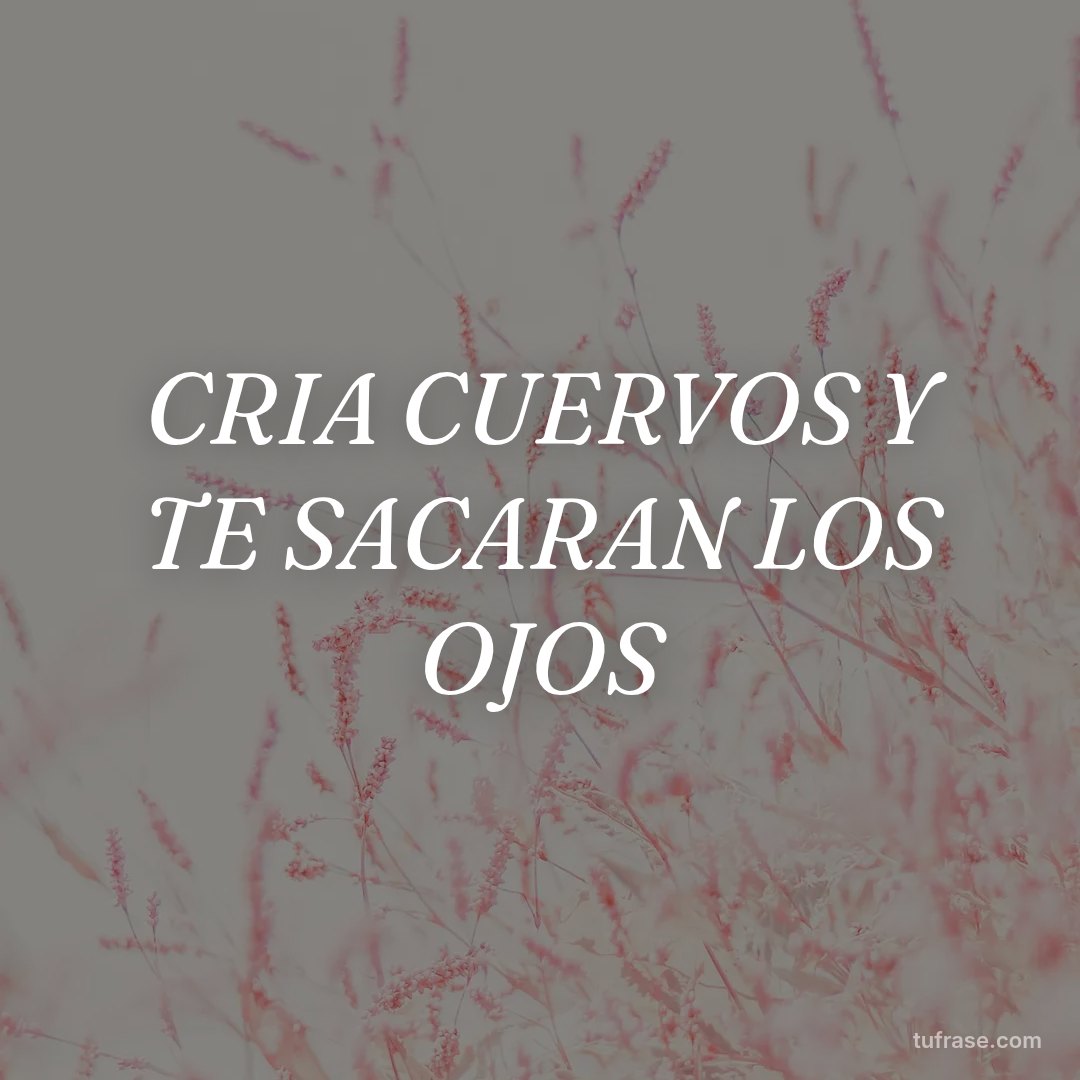 CRIA CUERVOS Y TE SACARAN LOS OJOS