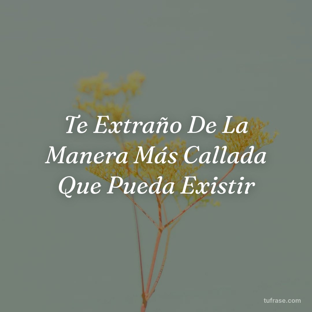 Te Extraño De La Manera Más Callada Que Pueda Existir