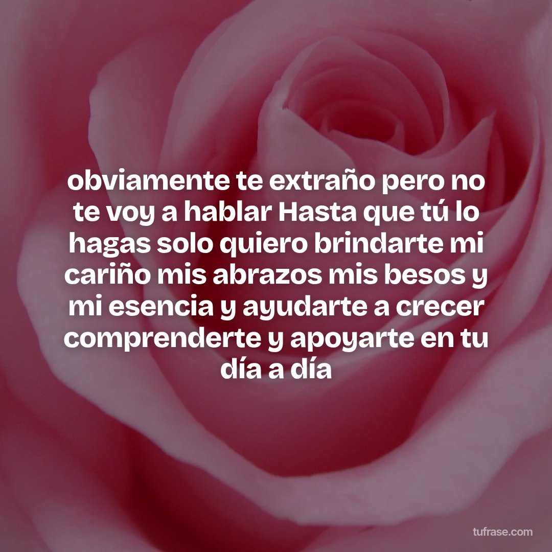 obviamente te extraño pero no te voy a hablar Hasta que tú lo hagas solo quiero brindarte mi cariño mis abrazos mis besos y mi esencia y ayudarte a crecer comprenderte y apoyarte en tu día a día