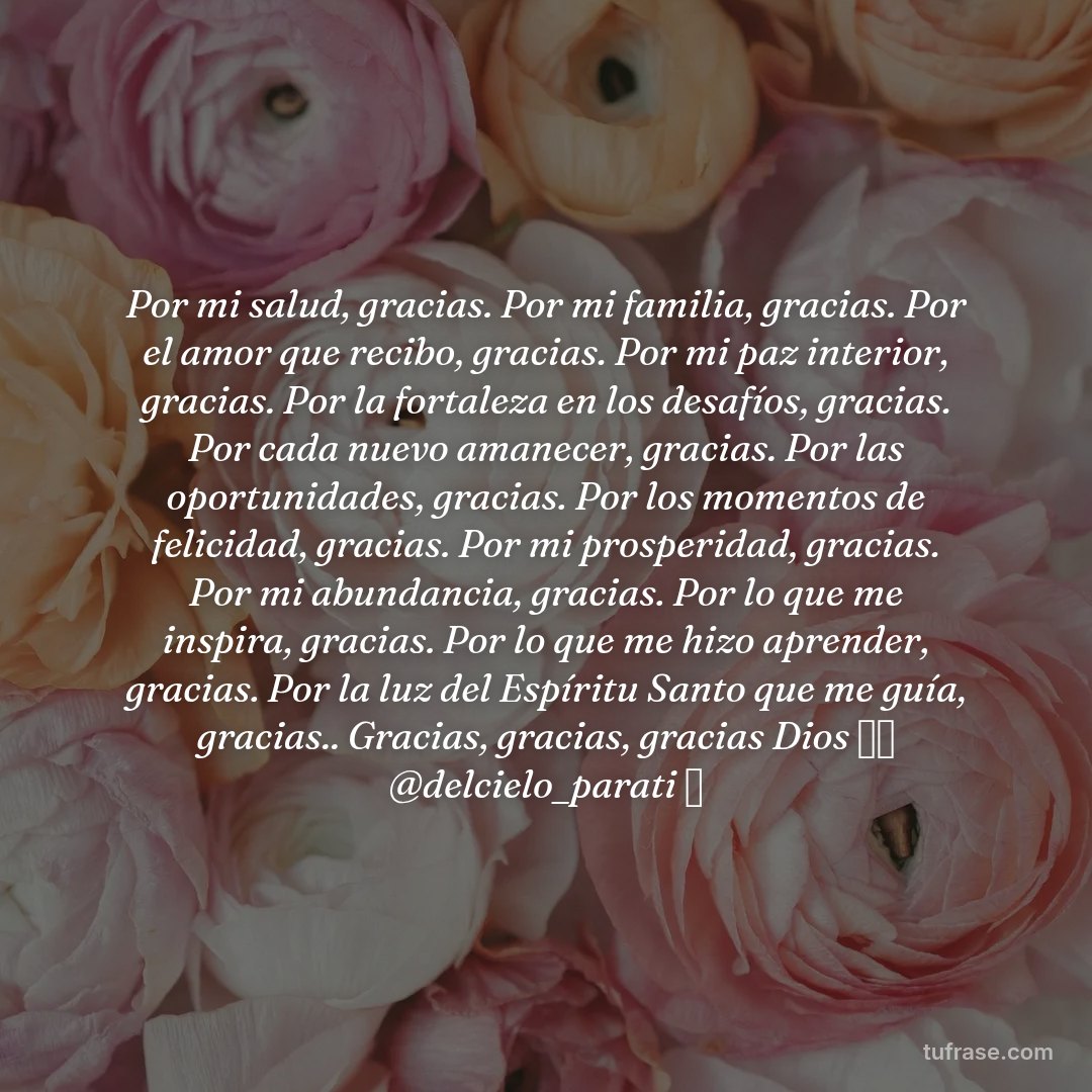 Por mi salud, gracias. Por mi familia, gracias. Por el amor que recibo, gracias. Por mi paz interior, gracias. Por la fortaleza en los desafíos, gracias. Por cada nuevo amanecer, gracias. Por las oportunidades, gracias. Por los momentos de felicidad, gracias. Por mi prosperidad, gracias. Por mi abundancia, gracias. Por lo que me inspira, gracias. Por lo que me hizo aprender, gracias. Por la luz del Espíritu Santo que me guía, gracias.. Gracias, gracias, gracias Dios 🙌🏽 @delcielo_parati ⛅️