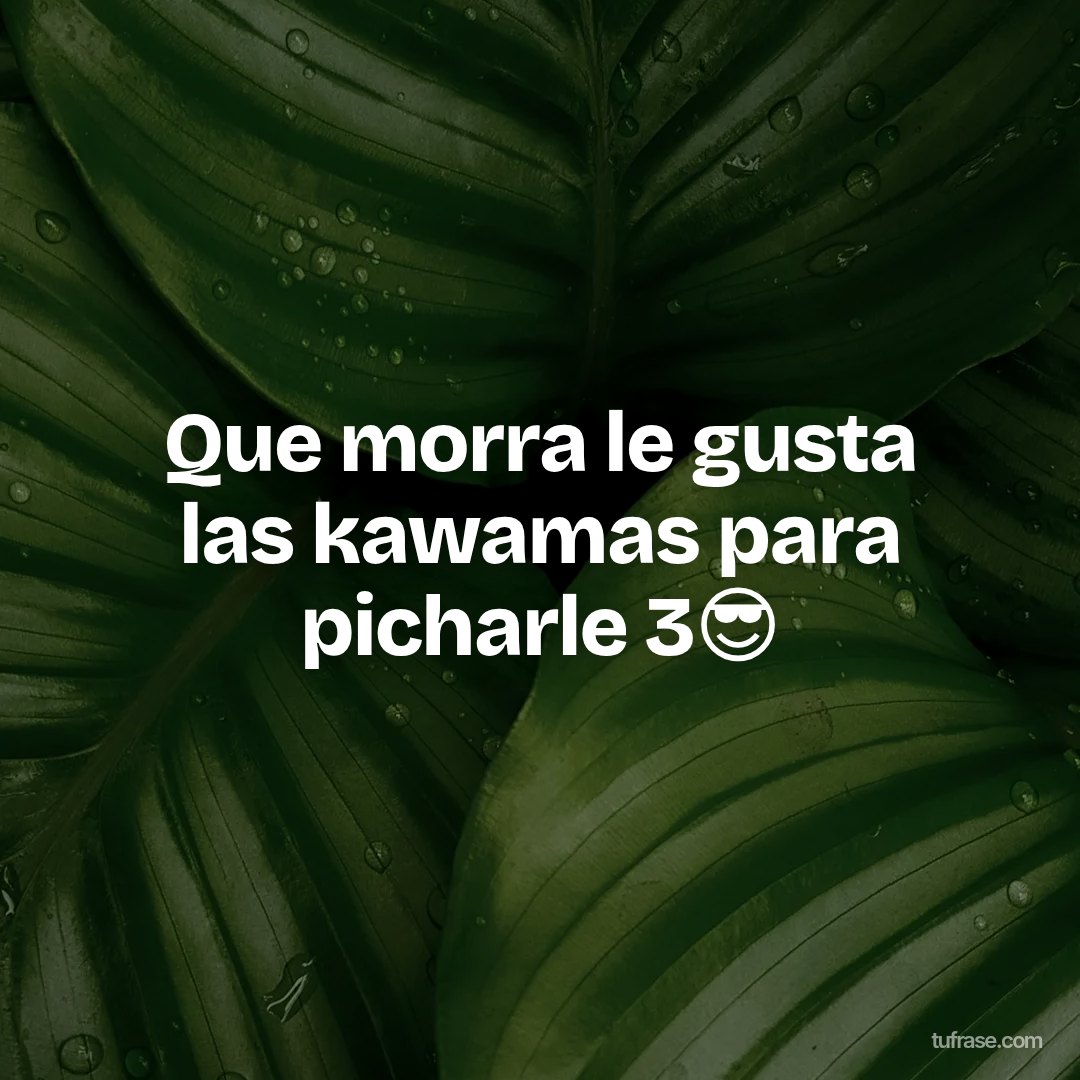 Que morra le gusta las kawamas para picharle 3😎