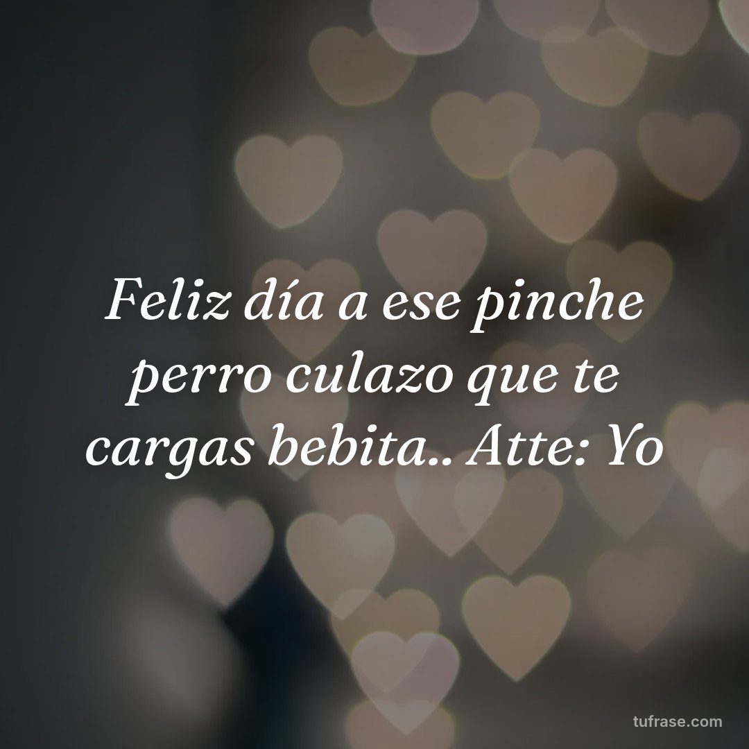 Feliz día a ese pinche perro culazo que te cargas bebita.. Atte: Yo