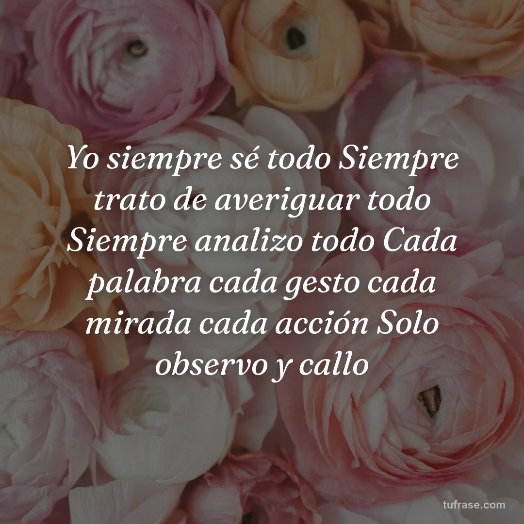 Yo siempre sé todo Siempre trato de averiguar todo Siempre analizo todo Cada palabra cada gesto cada mirada cada acción Solo observo y callo