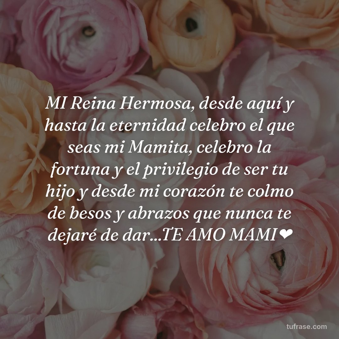 MI Reina Hermosa, desde aquí y hasta la eternidad celebro el que seas mi Mamita, celebro la fortuna y el privilegio de ser tu hijo y desde mi corazón te colmo de besos y abrazos que nunca te dejaré de dar...TE AMO MAMI❤️