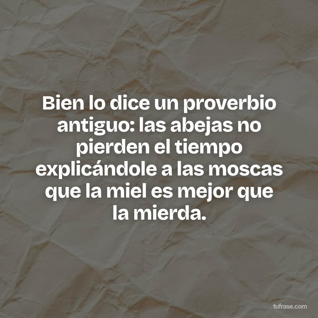 Bien lo dice un proverbio antiguo: las abejas no pierden el tiempo explicándole a las moscas que la miel es mejor que la mierda.