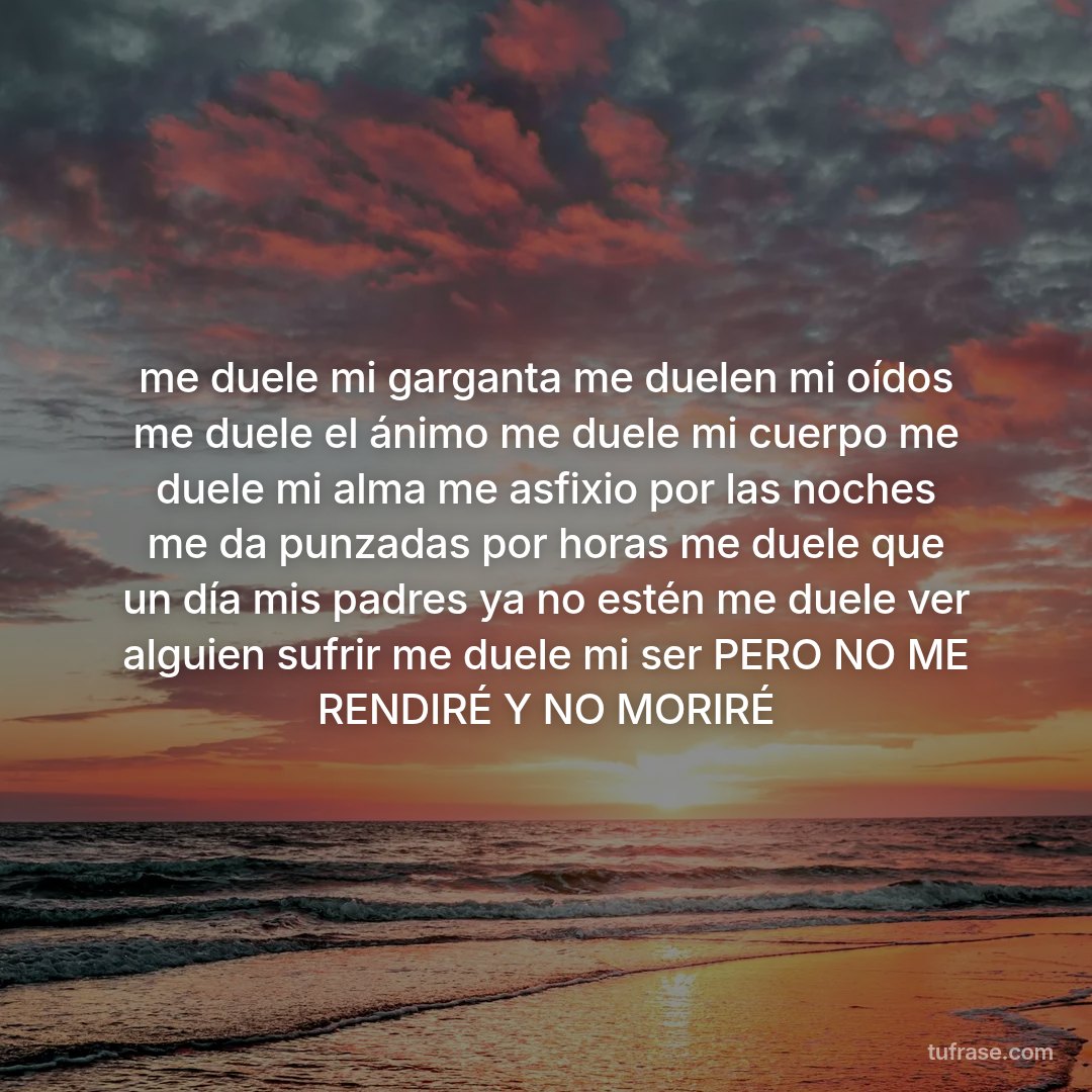 me duele mi garganta me duelen mi oídos me duele el ánimo me duele mi cuerpo me duele mi alma me asfixio por las noches me da punzadas por horas me duele que un día mis padres ya no estén me duele ver alguien sufrir me duele mi ser PERO NO ME RENDIRÉ Y NO MORIRÉ