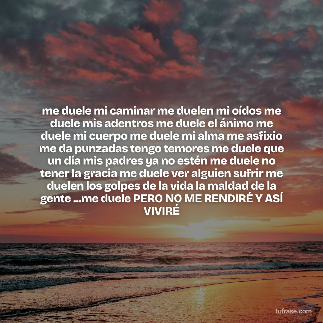 me duele mi caminar me duelen mi oídos me duele mis adentros me duele el ánimo me duele mi cuerpo me duele mi alma me asfixio me da punzadas tengo temores me duele que un día mis padres ya no estén me duele no tener la gracia me duele ver alguien sufrir me duelen los golpes de la vida la maldad de la gente ...me duele PERO NO ME RENDIRÉ Y ASÍ VIVIRÉ