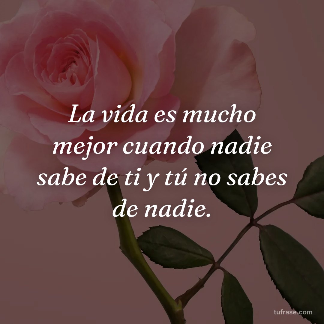 La vida es mucho mejor cuando nadie sabe de ti y tú no sabes de nadie.