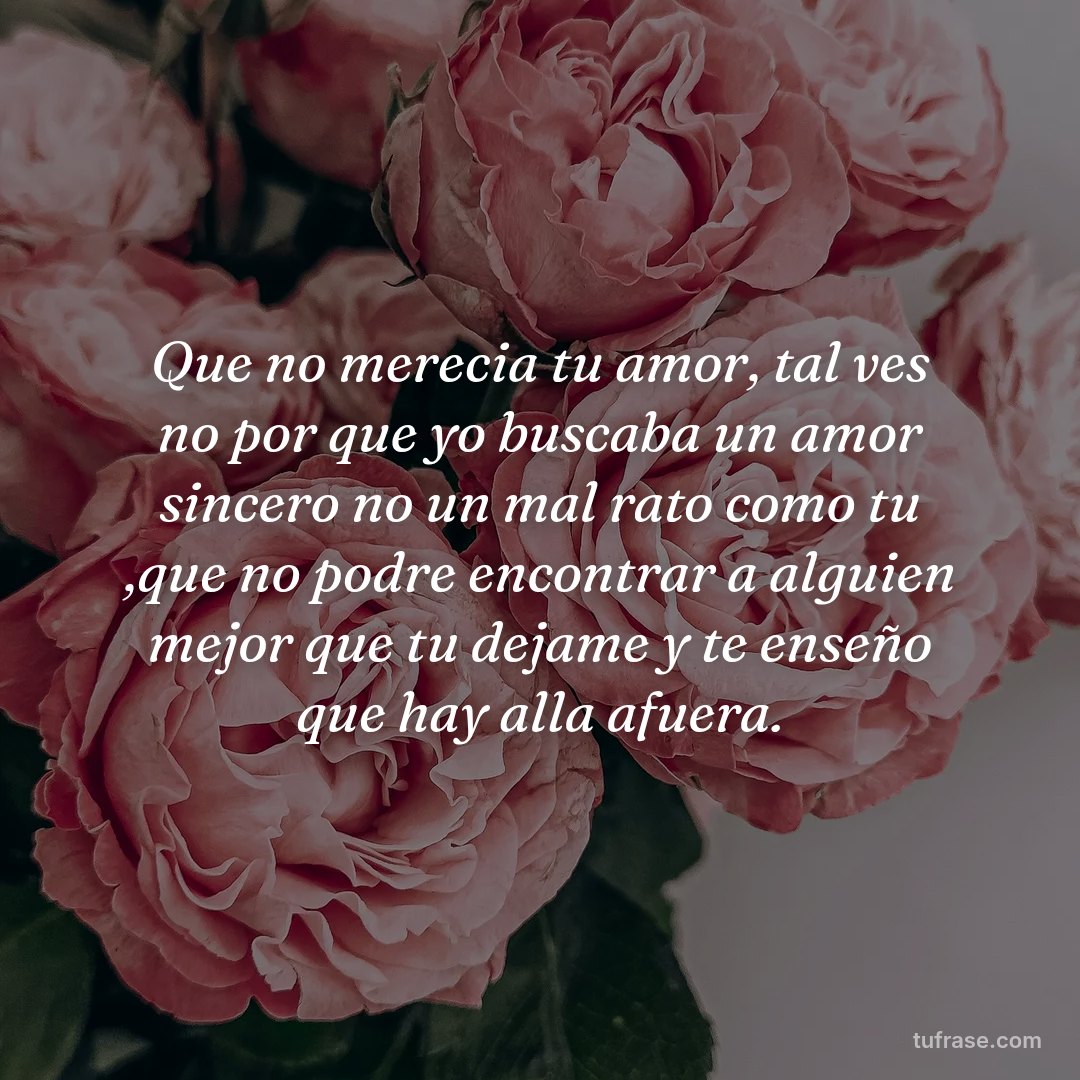 Que no merecia tu amor, tal ves no por que yo buscaba un amor sincero no un mal rato como tu ,que no podre encontrar a alguien mejor que tu dejame y te enseño que hay alla afuera.