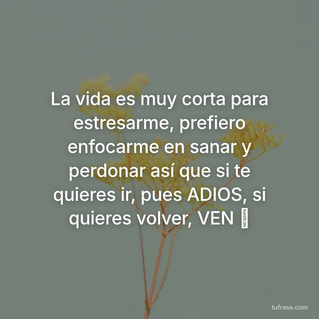 La vida es muy corta para estresarme, prefiero enfocarme en sanar y perdonar así que si te quieres ir, pues ADIOS, si quieres volver, VEN ⏳