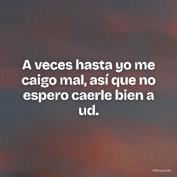 A veces hasta yo me caigo mal, así que no espero caerle bien a ud.