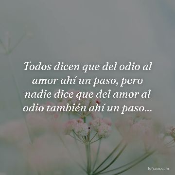 Todos dicen que del odio al amor ahí un paso, pero nadie dice que del amor al odio también ahí un paso...