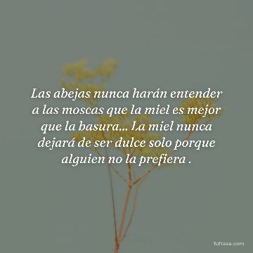 Las abejas nunca harán entender a las moscas que la miel es mejor que la basura... La miel nunca dejará de ser dulce solo porque alguien no la prefiera .