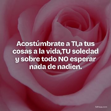 Acostúmbrate a TI,a tus cosas a la vida,TU soledad y sobre todo NO esperar nada de nadien.