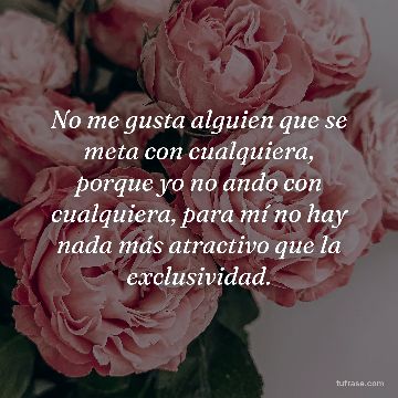 No me gusta alguien que se meta con cualquiera, porque yo no ando con cualquiera, para mí no hay nada más atractivo que la exclusividad.
